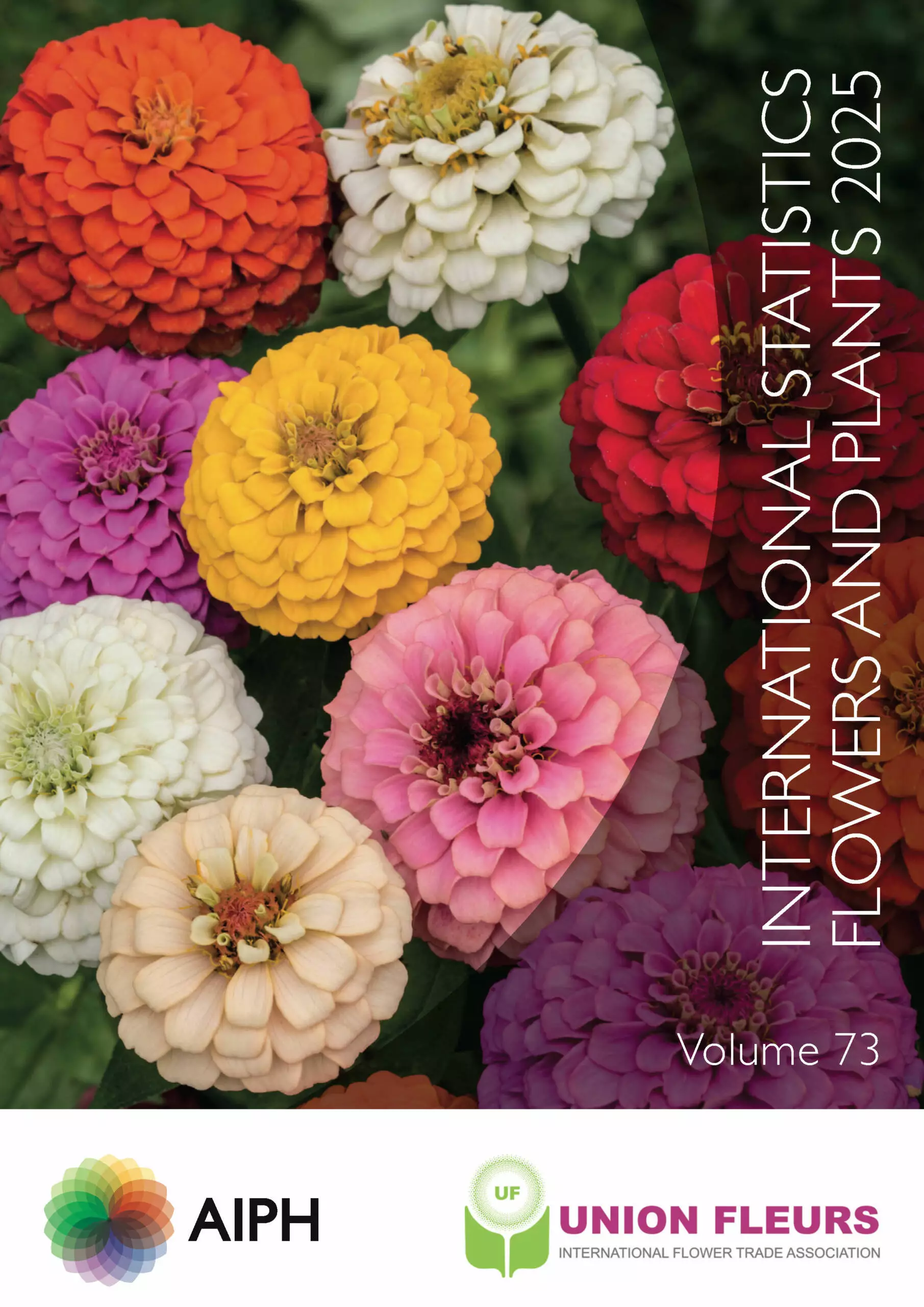 Colourful Zinnia elegans blooms featured on the front cover of the International Statistics Flowers and Plants 2025 Yearbook, Volume 73.