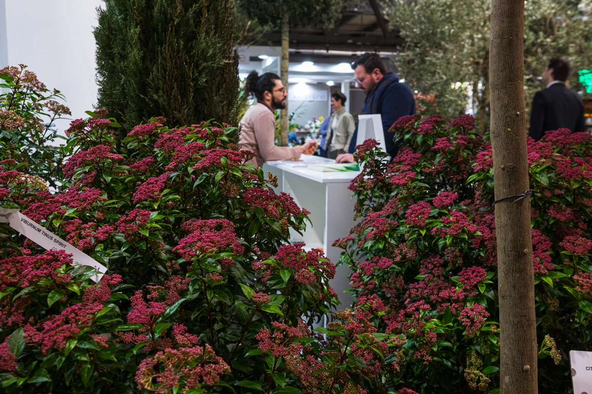 Business discussion taking place beside flowering ornamental shrubs.