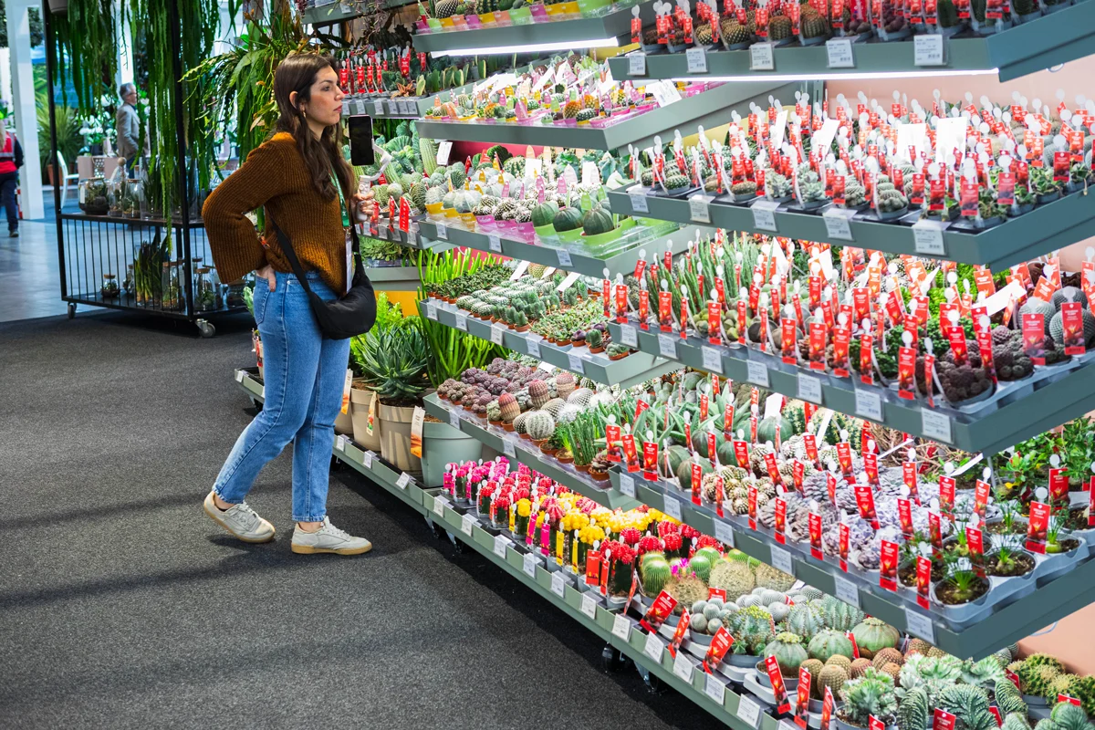 Visitor viewing large succulent and cactus display shelves at trade fair.