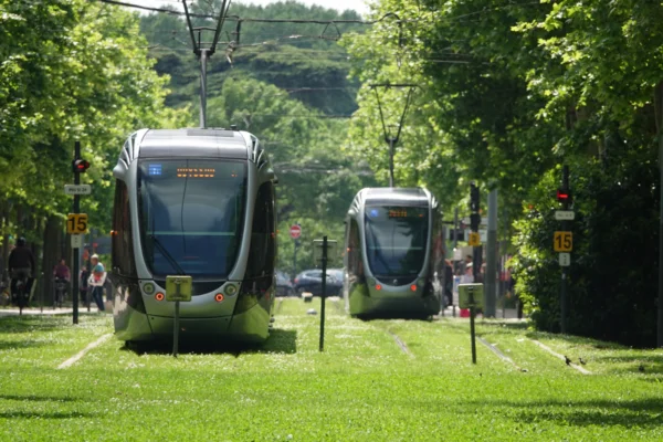 Modern tram operating along grass-covered tracks in a tree-lined urban corridor in Toulouse, France.