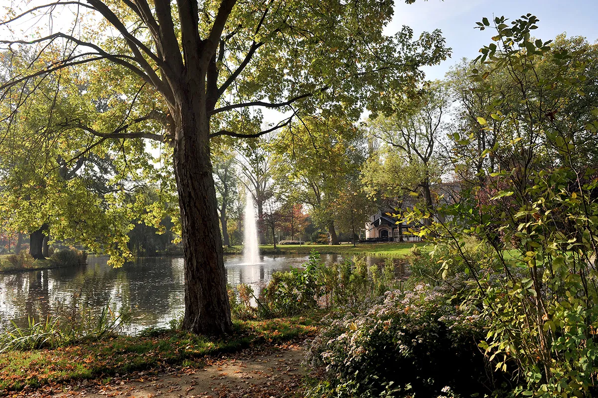 Agnethapark in Delft with mature trees, water features and landscaped planting.