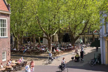 Tree-lined Beestenmarkt square in Delft with mature urban trees and outdoor seating