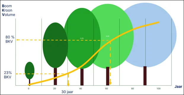 Diagram illustrating tree crown volume development over time.