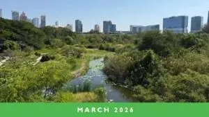 AIPH Global Green City Update - March 2026