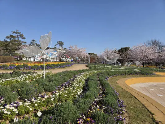 Flower beds and butterfly sculptures at Taean Expo site