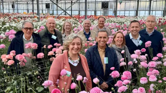Union Fleurs members visiting ranunculus greenhouse at Biancheri Creazioni, Sanremo