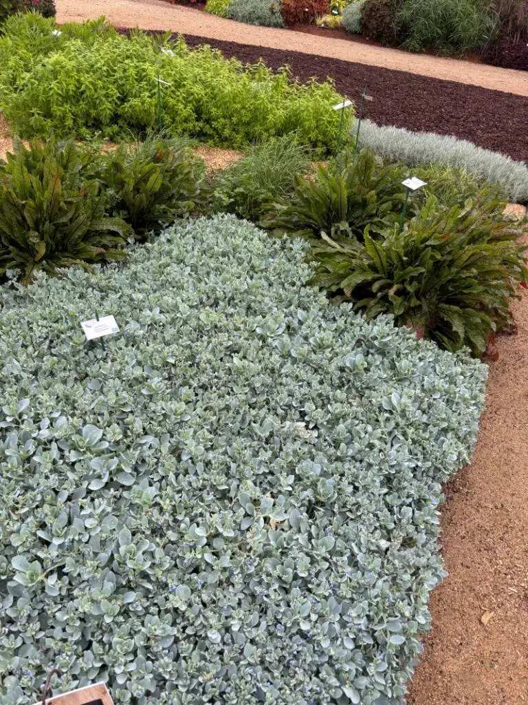 fish tank plant substrate Aquasoil Aquarium Plant Substrate