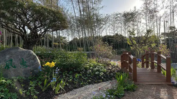Moon-Crossing Bridge and bamboo planting in the China Garden at Taean Expo 2026.