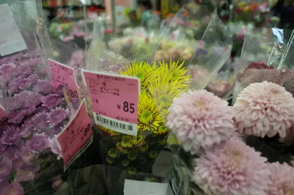 Wrapped chrysanthemums with Japanese price labels displayed for sale in a flower shop.